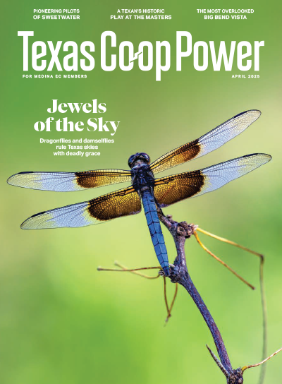 april 25 cover