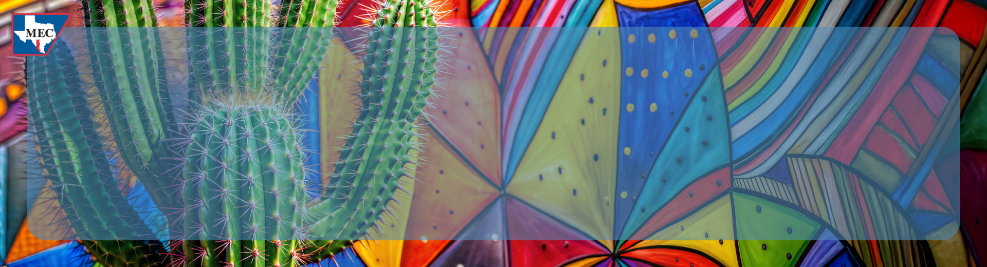 bright colored mural and cactus