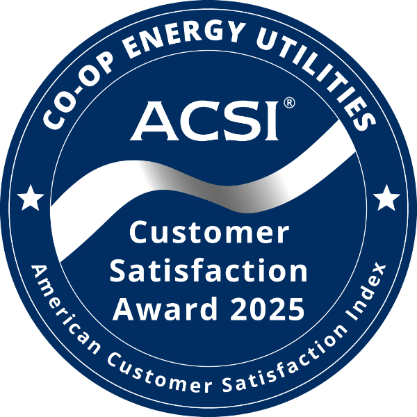 2025 ACSI Badge