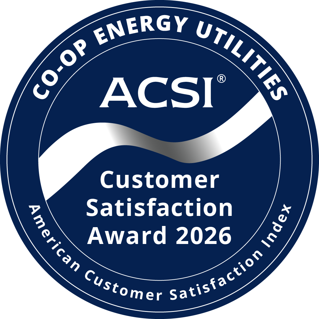2026 ACSI Badge